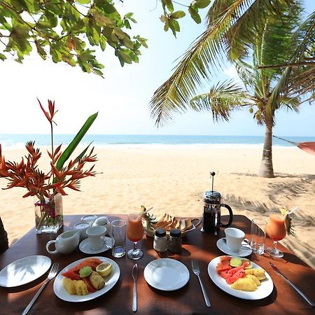 טנגלה Mangrove Beach Chalets מראה חיצוני תמונה