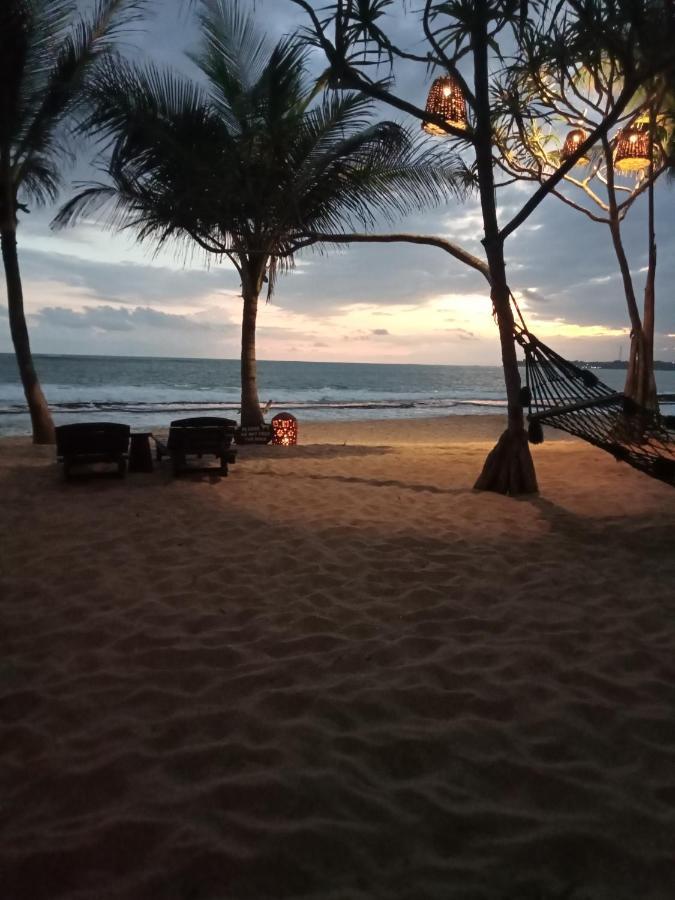 טנגלה Mangrove Beach Chalets מראה חיצוני תמונה