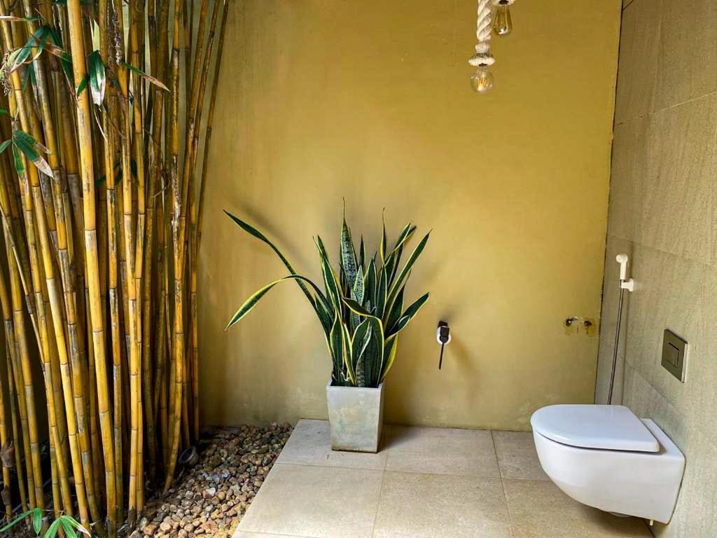טנגלה Mangrove Beach Chalets מראה חיצוני תמונה