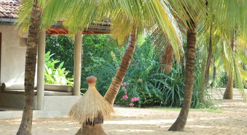 טנגלה Mangrove Beach Chalets מראה חיצוני תמונה