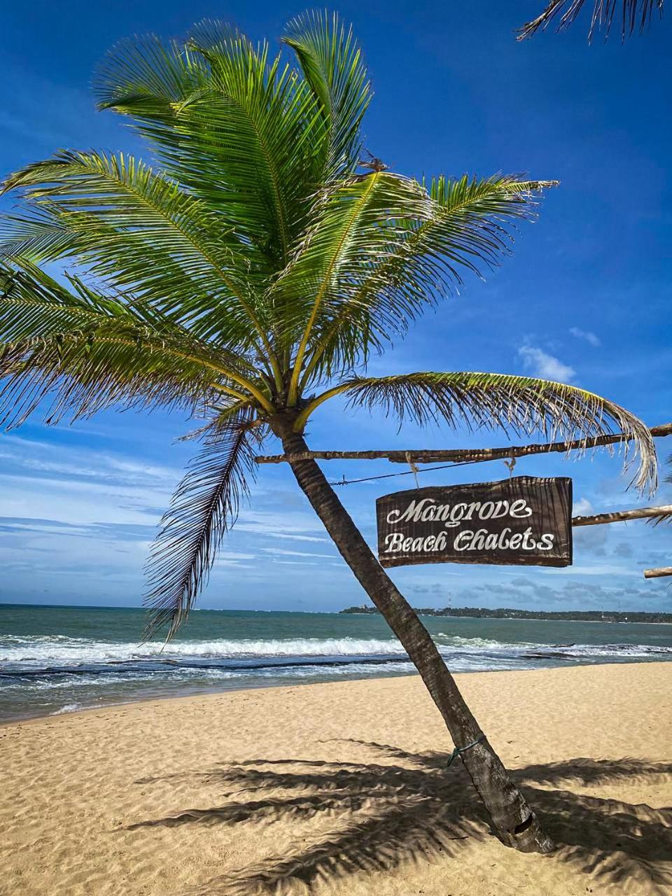 טנגלה Mangrove Beach Chalets מראה חיצוני תמונה