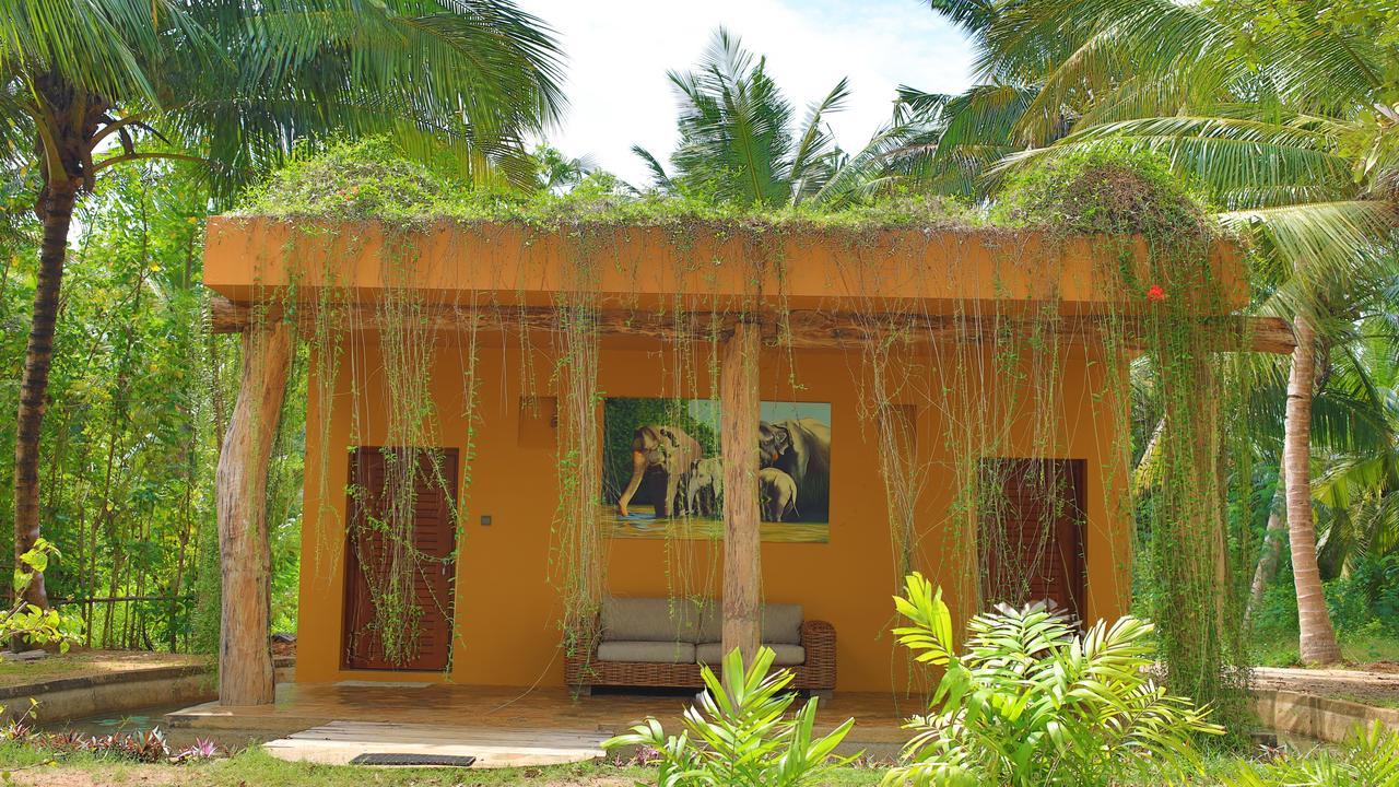 טנגלה Mangrove Beach Chalets מראה חיצוני תמונה