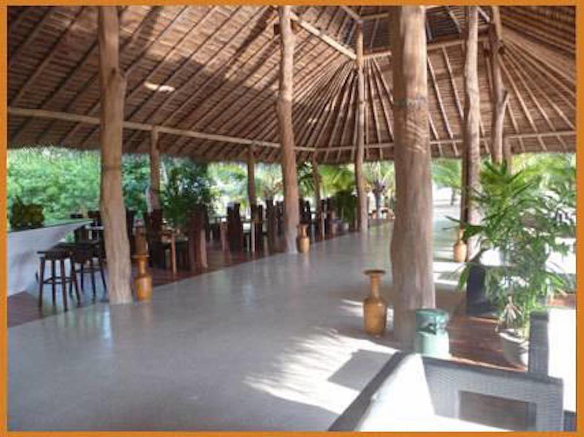 טנגלה Mangrove Beach Chalets מראה חיצוני תמונה