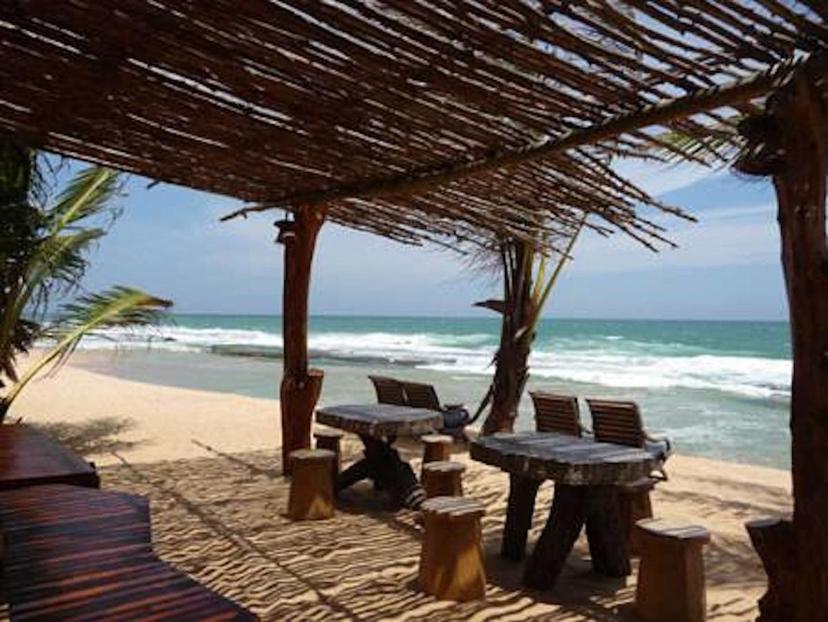 טנגלה Mangrove Beach Chalets מראה חיצוני תמונה