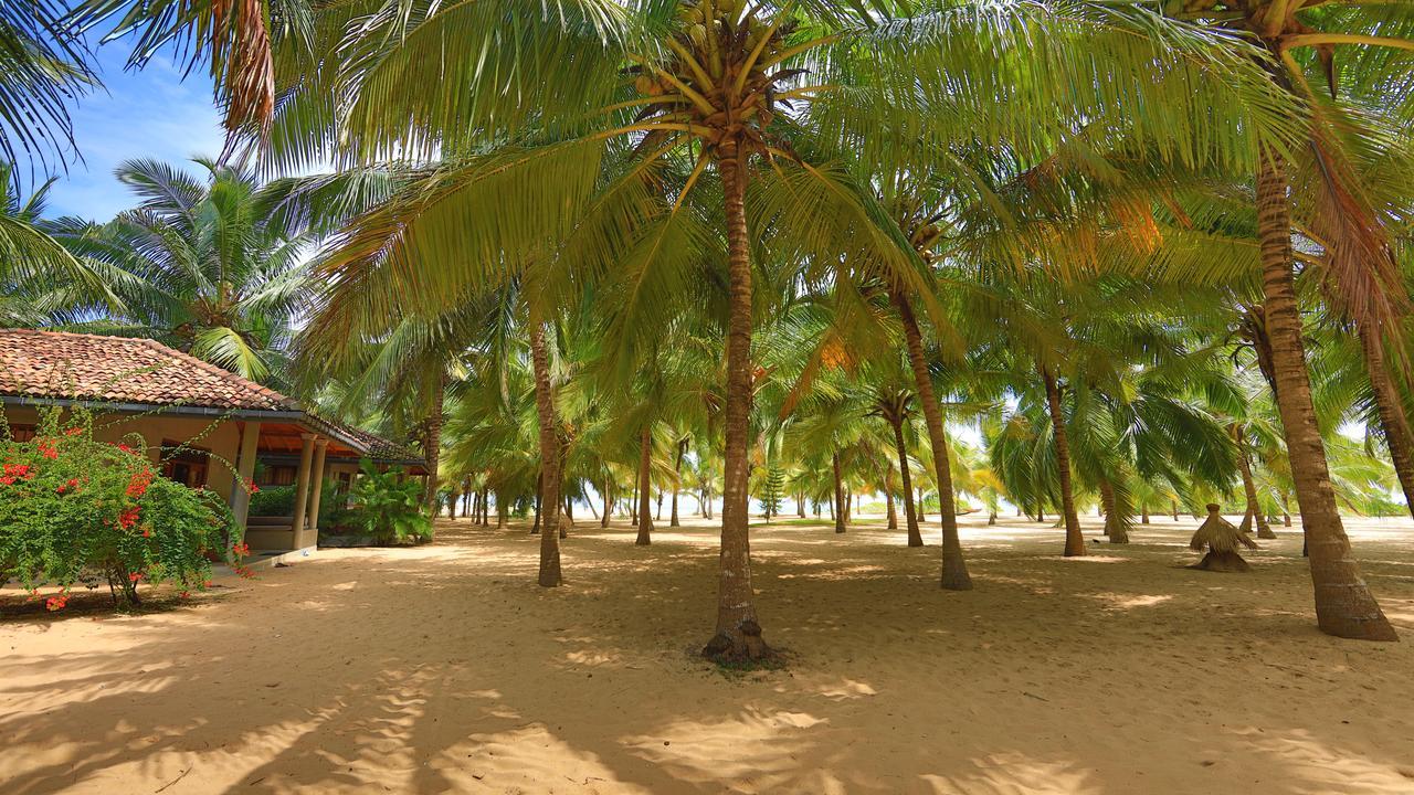 טנגלה Mangrove Beach Chalets מראה חיצוני תמונה