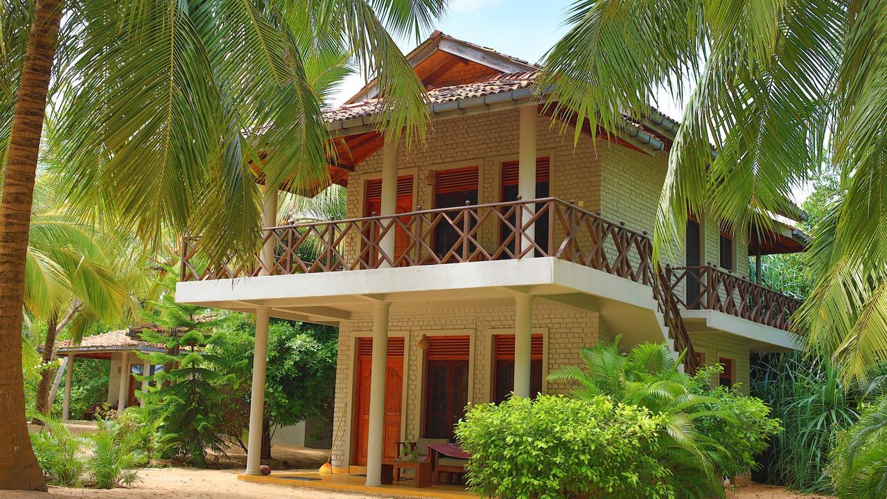 טנגלה Mangrove Beach Chalets מראה חיצוני תמונה