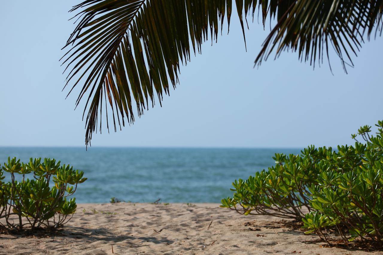 טנגלה Mangrove Beach Chalets מראה חיצוני תמונה