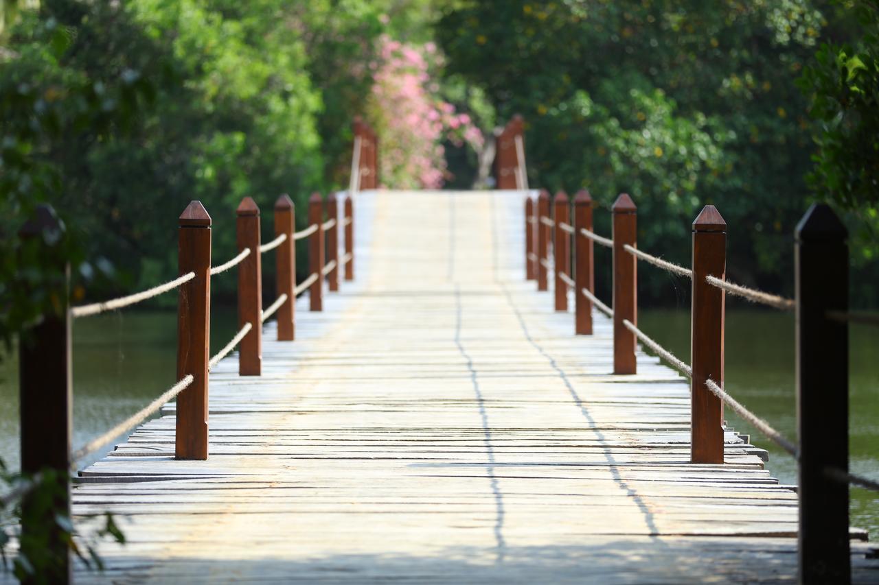 טנגלה Mangrove Beach Chalets מראה חיצוני תמונה