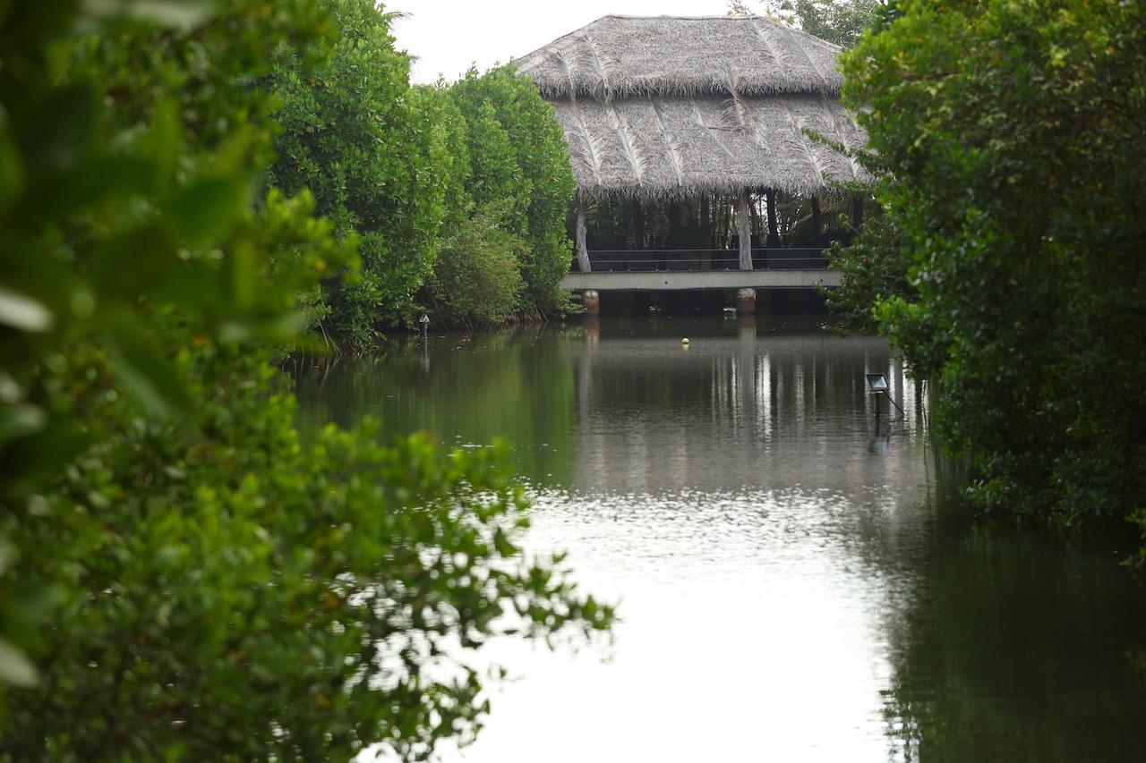 טנגלה Mangrove Beach Chalets מראה חיצוני תמונה