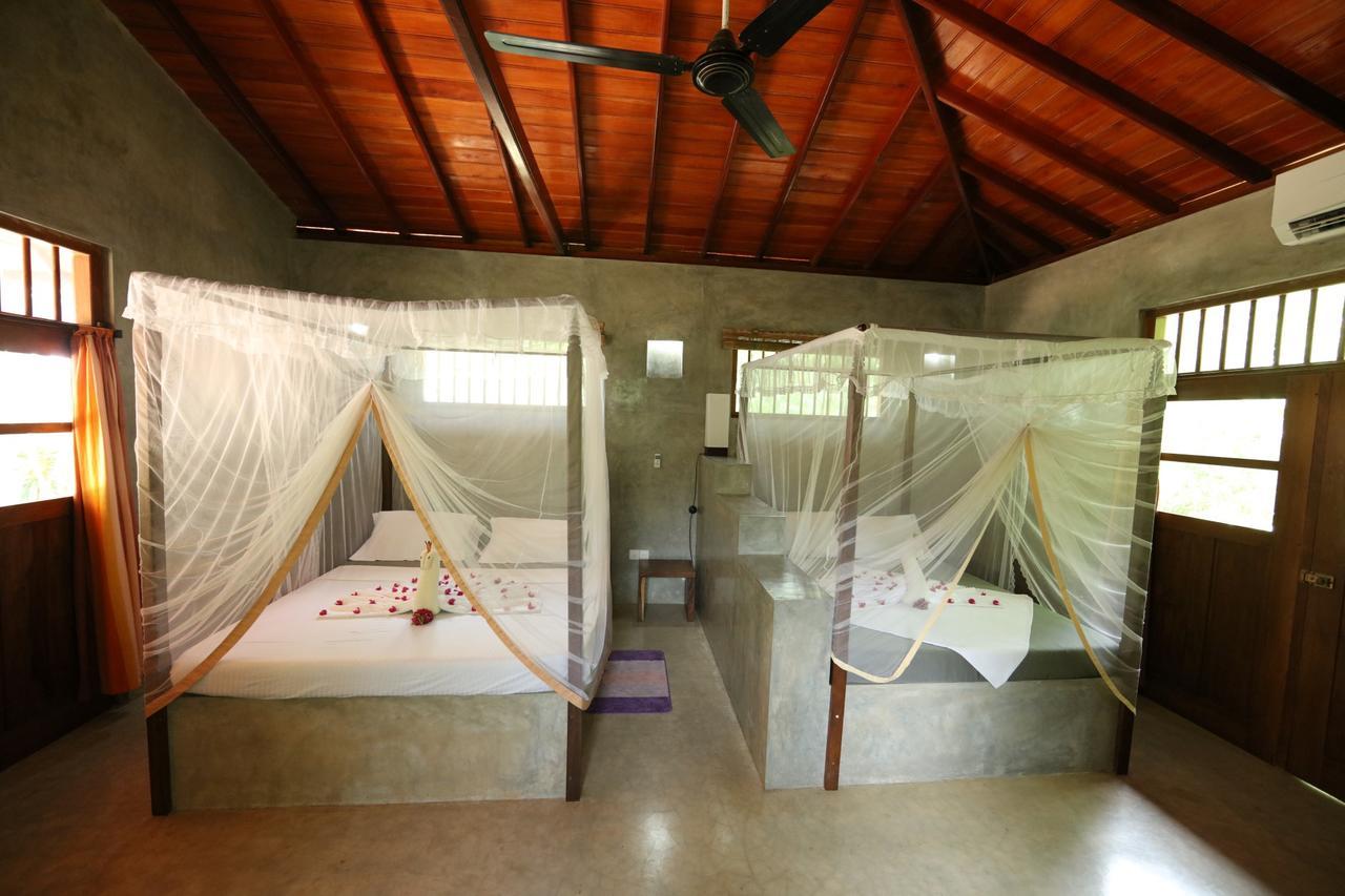 טנגלה Mangrove Beach Chalets מראה חיצוני תמונה