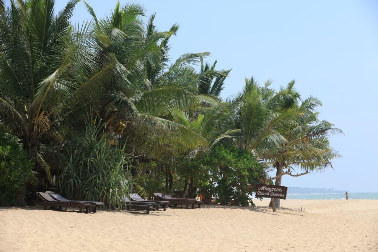 טנגלה Mangrove Beach Chalets מראה חיצוני תמונה